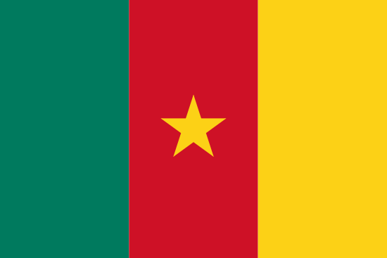 Drapeau Cameroun